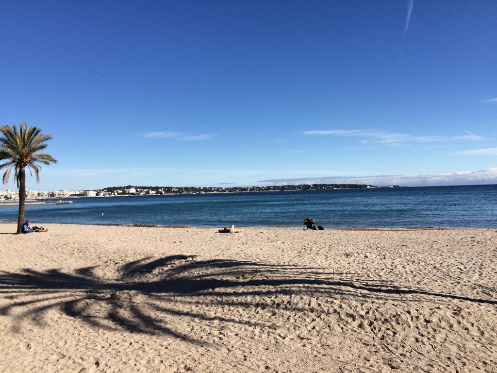 Amazing View Port And Garage * Golfe-Juan